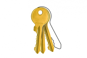 ARTICLE - Process Parsimony — Automation’s Secret Key for Scale and Quality